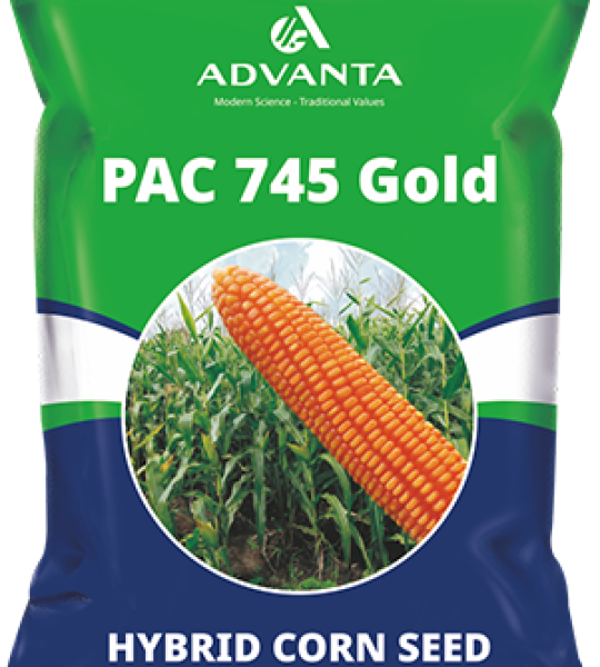 Advanta Pac 745 Seed